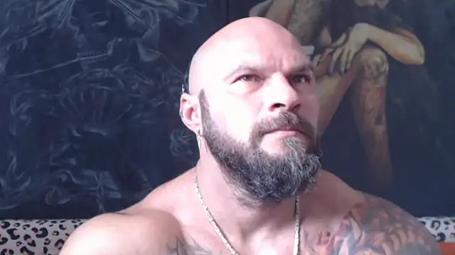 viking_30 webcam