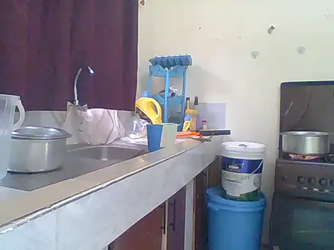 monlight_ webcam