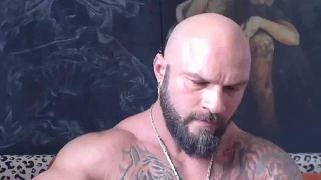 viking_30 webcam