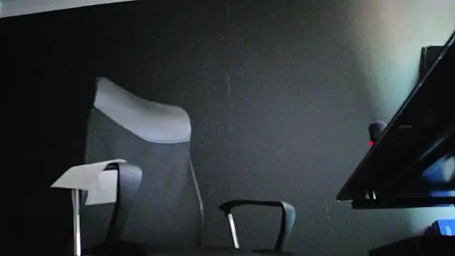 FelixStarkk webcam