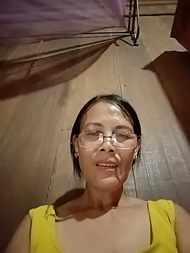toyo_668 webcam