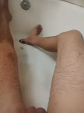 BigB081485 webcam