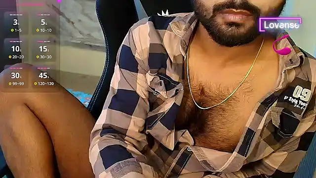 SilverShade3 webcam
