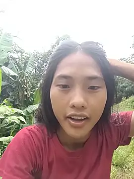 Hoa-tuylip
