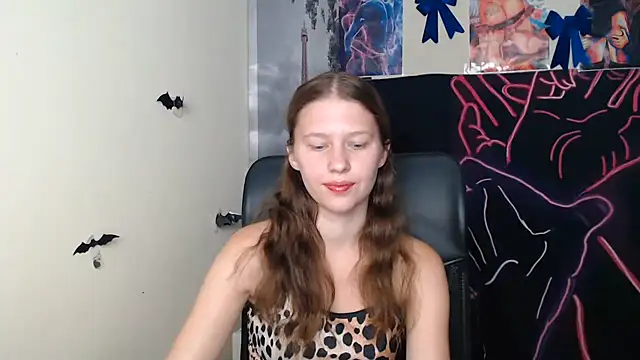StellaCRL webcam