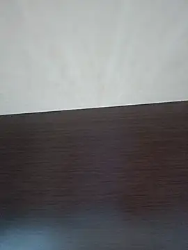 vulpe8400 webcam