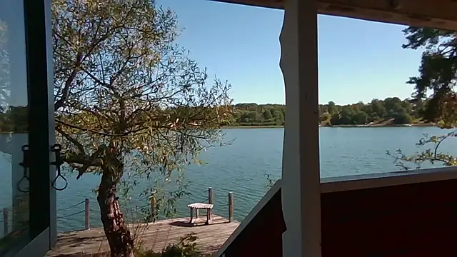 Stock-Holmes webcam