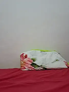 altinya webcam