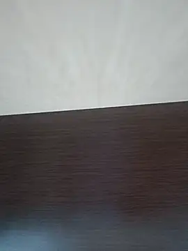 vulpe8400 webcam