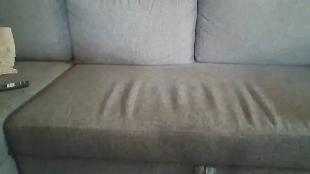 dannedonger2 webcam