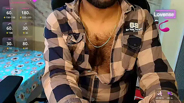 SilverShade3 webcam