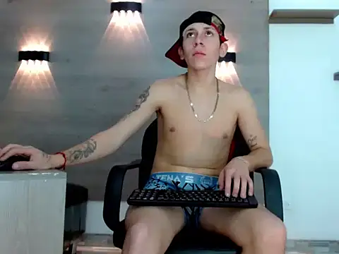 Gaeliitto webcam