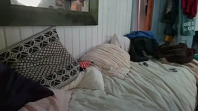 Stock-Holmes webcam