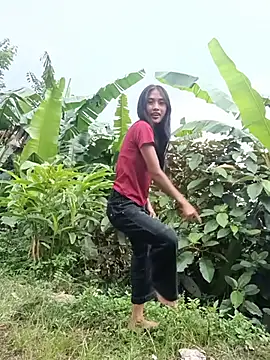 Hoa-tuylip