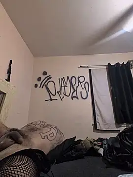 Cnutt310 webcam