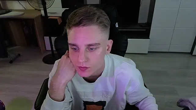 pvlpstvy webcam