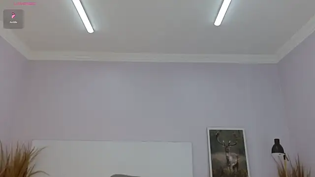 kimara_lion webcam