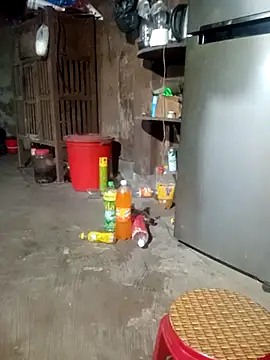 phuongtrinh1 webcam