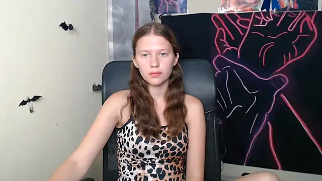 StellaCRL webcam