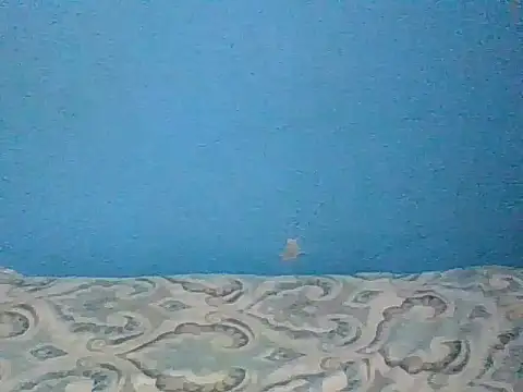meltingcreampie webcam