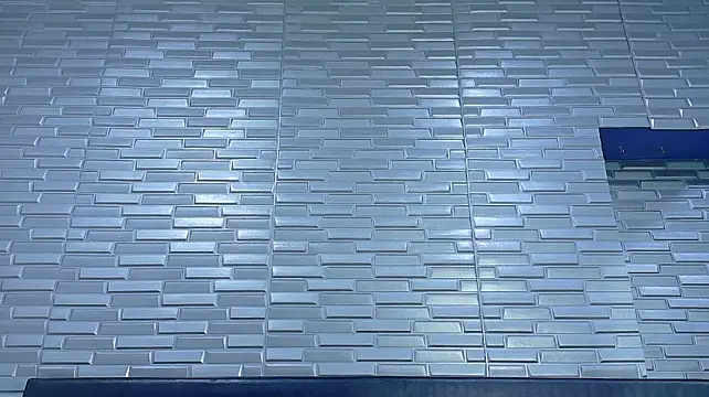 SeraphynLuxora webcam