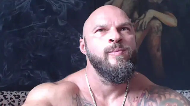 viking_30 webcam