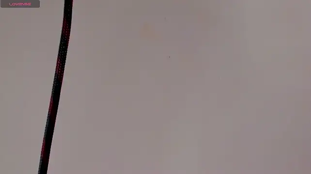 reshi_hevss webcam
