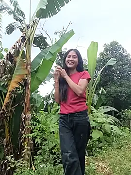 Hoa-tuylip