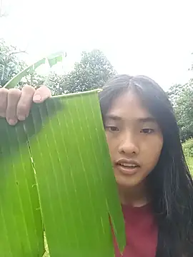 Hoa-tuylip