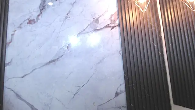 BlakeSttone webcam