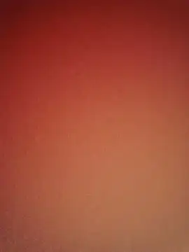 30yearr webcam