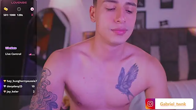 I_Gabriel webcam