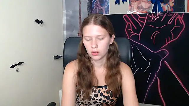 StellaCRL webcam