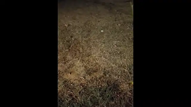 stoner_420 webcam