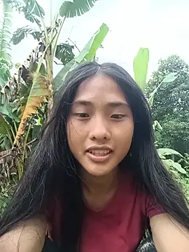 Hoa-tuylip