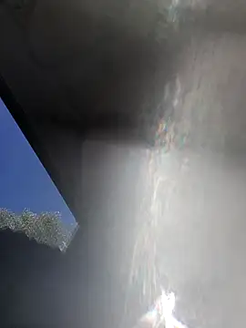 TwardyKierowca webcam