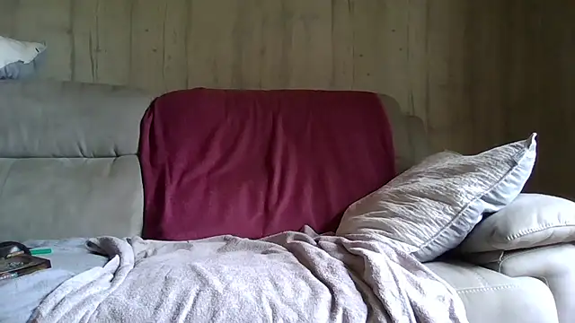 Helinetrav webcam
