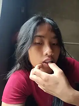 Hoa-tuylip webcam