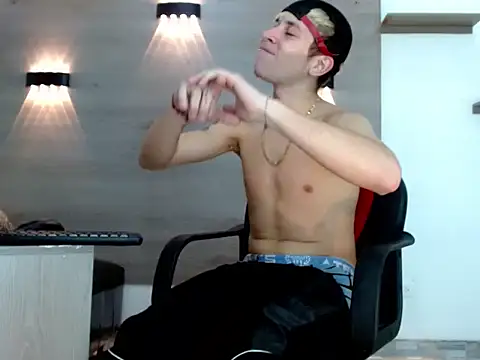 Gaeliitto webcam