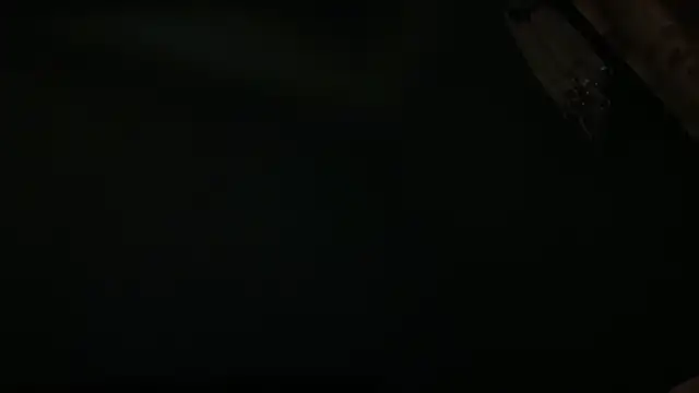 icebergslim281 webcam