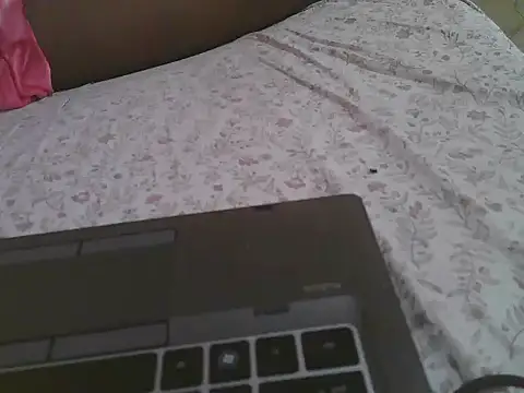 FOXY-DOLLY live webcam