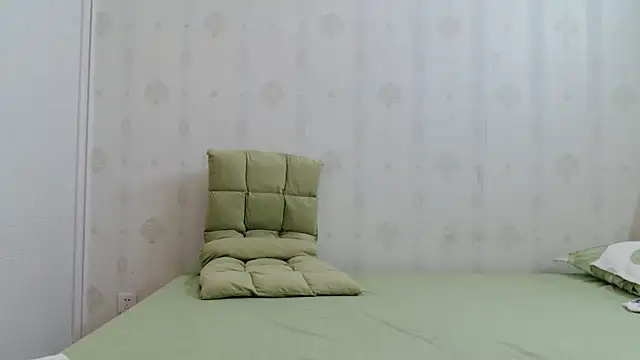coco-LL webcam