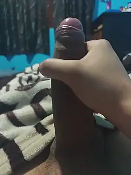 Scorpion_22cm webcam