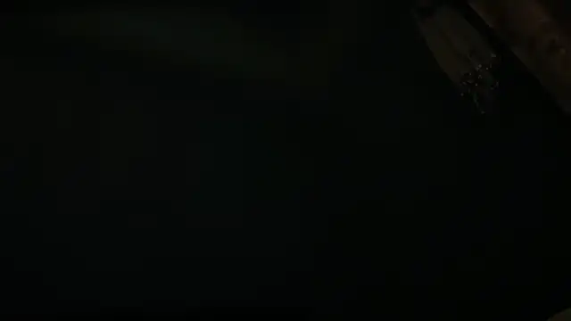icebergslim281 webcam