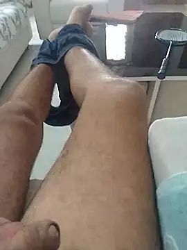 Desiandaj webcam