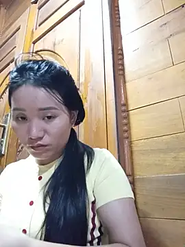 Td3di webcam