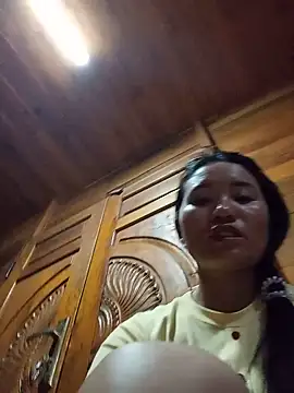 Td3di webcam