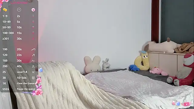 _flipped_ webcam