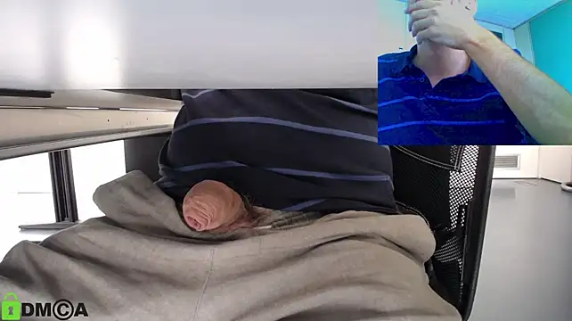 pliko webcam