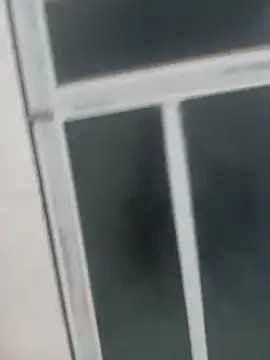 Hily_wet webcam